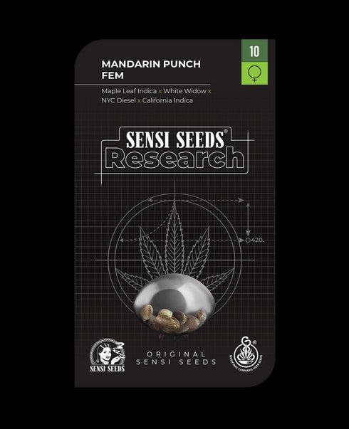 Sensi Seeds - Mandarine Punch